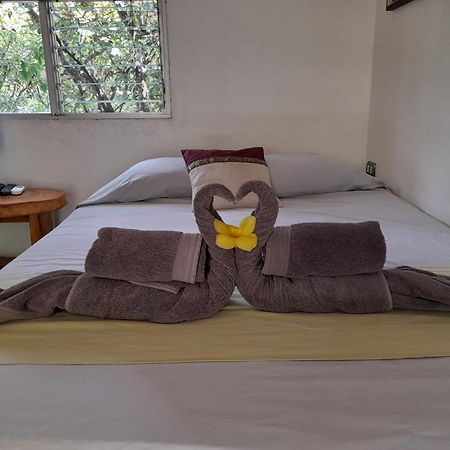 Hotel El Colibri Rojo - Cabinas - Le Colibri Rouge Кахуита Стая снимка