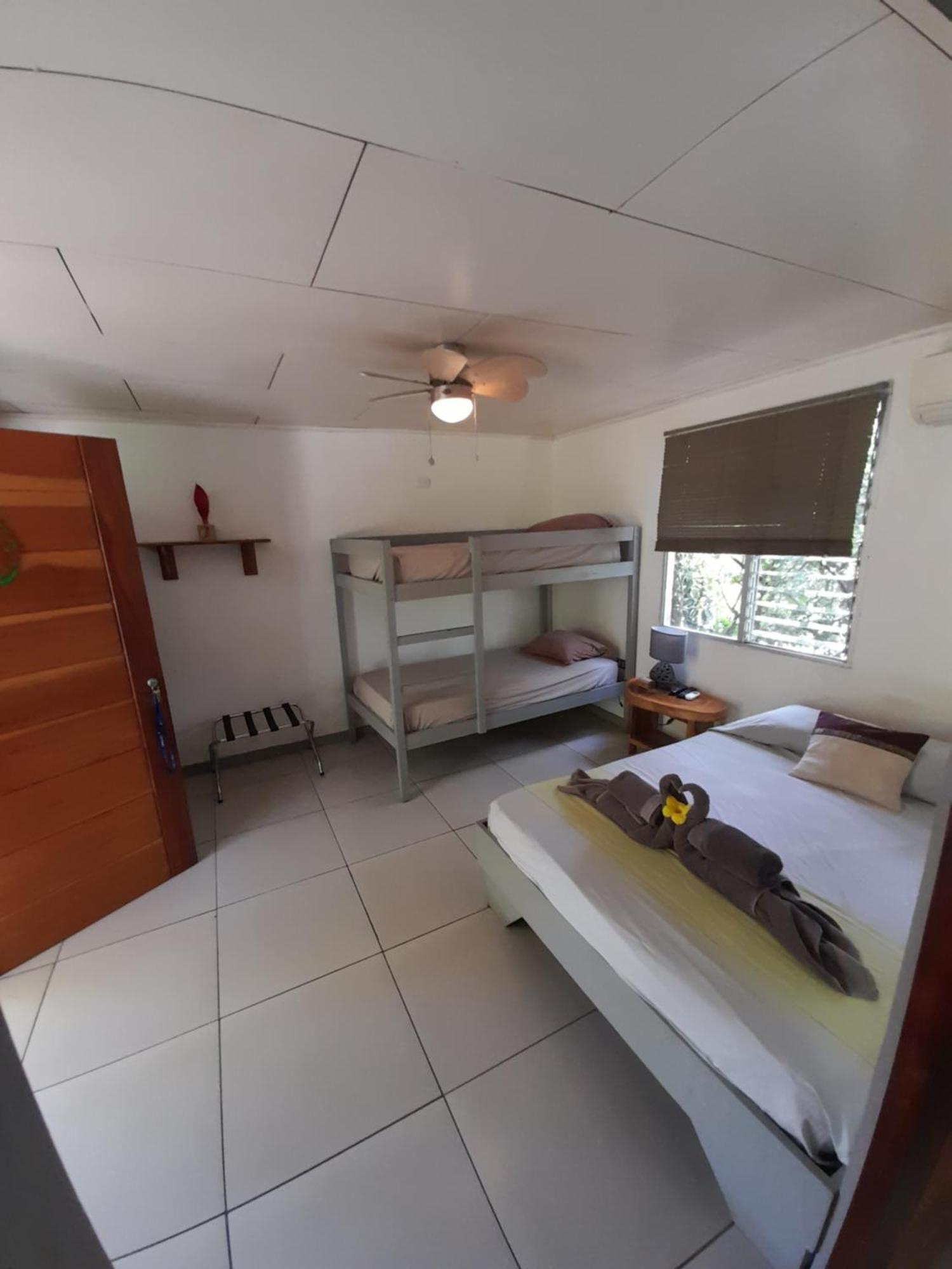 Hotel El Colibri Rojo - Cabinas - Le Colibri Rouge Кахуита Стая снимка